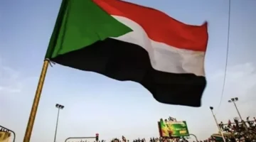 رابط استخراج نتيجة قبول الجامعات السودانية برقم الاستمارة يحدد مصير آلاف الطلاب لهذا العام